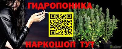 прущий лед Изобильный