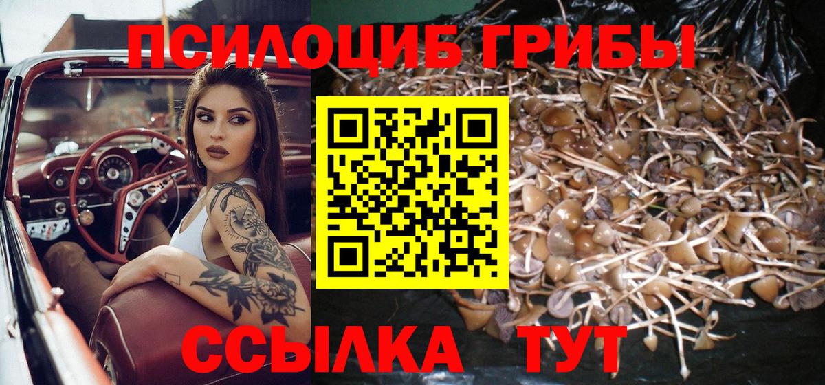 Псилоцибиновые грибы Psilocybe  Вход с VPN  Лабытнанги 
